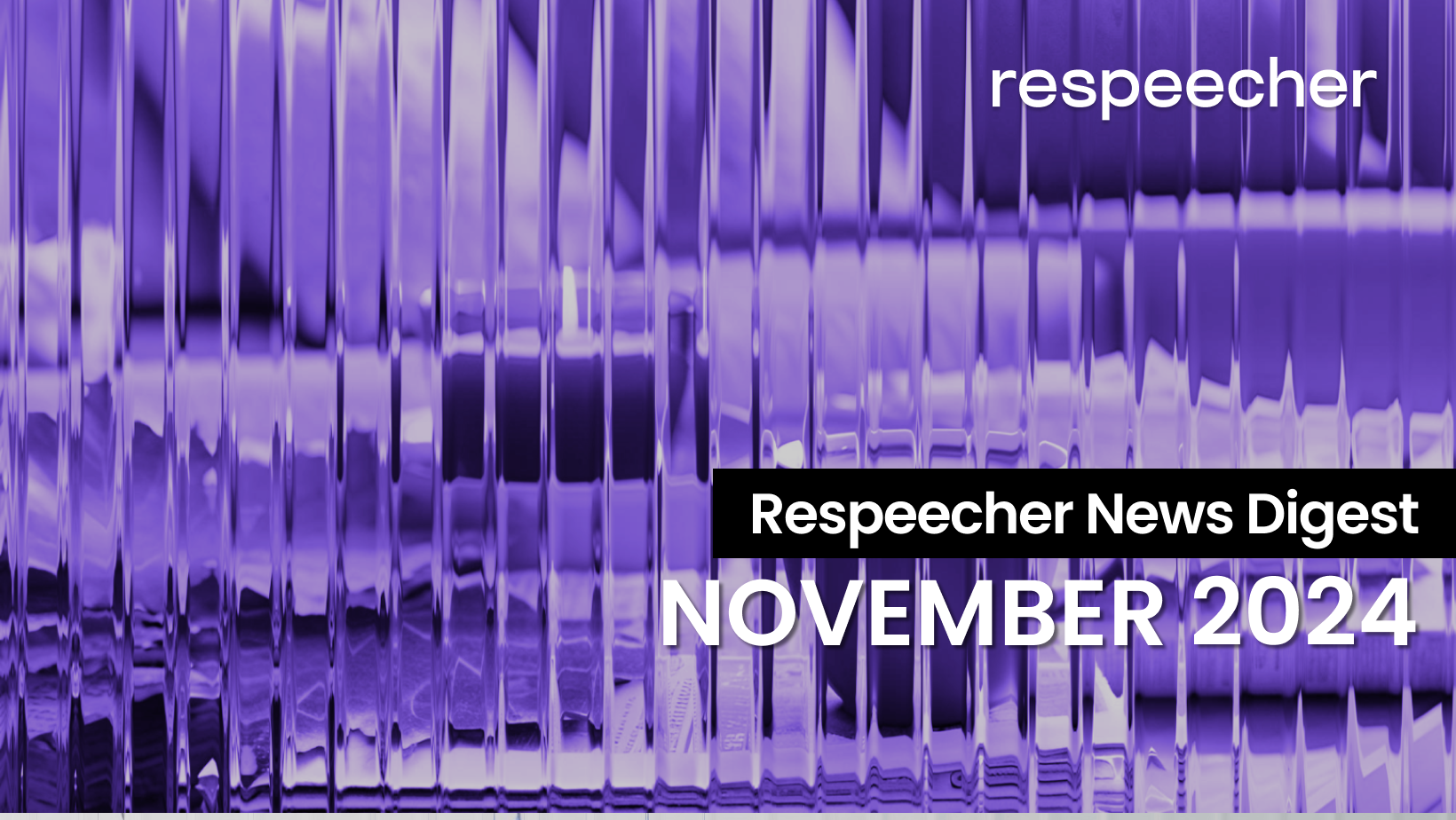 Open graph image for the Respeecher News Digest November 2024 article, featuring a purple-tinted abstract design with vertical glass-like lines. The text 'Respeecher News Digest' appears in a black box with white font, followed by 'November 2024' in bold white text. The Respeecher logo is displayed in the top-right corner.